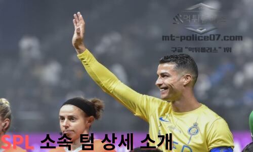 사우디아라비아 프로 리그에 관한 8가지 정보