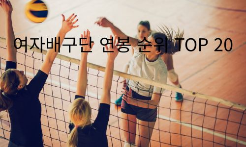 여자배구단 연봉 순위