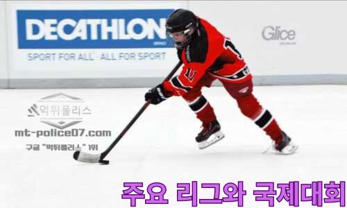 아이스하키