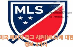 미국 메이저리그 사커(MLS)에 대한 정보 3가지