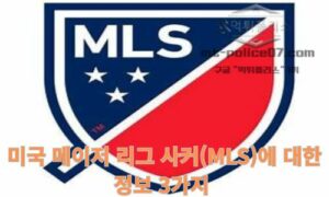 미국 메이저리그 사커(MLS)에 대한 정보 3가지