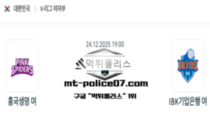 2025년 12월 24일 19:00 V-리그 프로배구 흥국생명 vs IBK기업은행 스포츠 픽