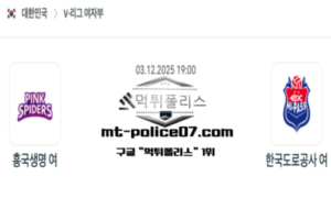 2025년 12월 3일 19:00 V-리그 프로배구 흥국생명 vs 한국도로공사 스포츠 픽