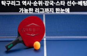 전 세계에서 가장 영향력 있는 탁구리그 총정리
