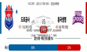 2025년 12월 11일 19:00 V-리그 프로배구 한국 도로공사 VS 흥국생명 스포츠 픽
