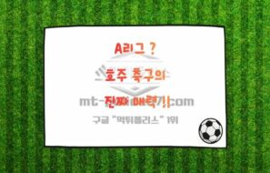 호주 A리그(A-League)란? – 아시아 축구의 숨은 강자