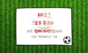 호주 A리그(A-League)란? – 아시아 축구의 숨은 강자