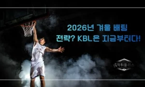 2026년 KBL 스포츠토토 배팅 전략 완벽 가이드
