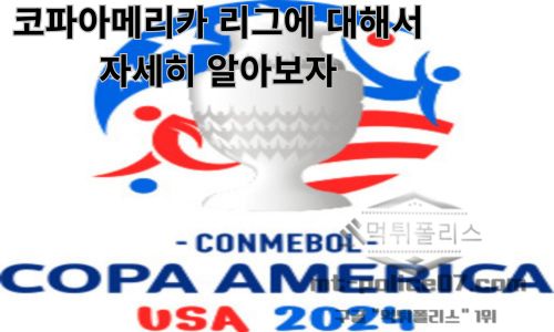코파 아메리카
