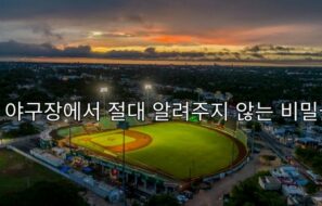야구장에서 절대 알려주지 않는 비밀들