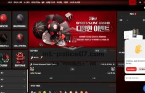 타워벳 신규사이트 먹튀검증 결과 공개