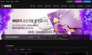 WEE 신규사이트 먹튀검증 결과 공개