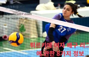 튀르키예 여자 배구 리그에 관한 8가지 정보
