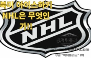 북미 아이스하키 NHL은 무엇인가!!