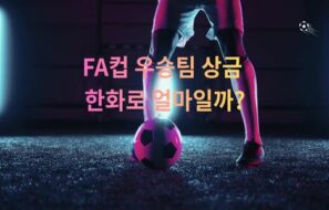 잉글랜드 FA컵(The Emirates FA Cup) 완전 정리 — 우승 기록 & 상금