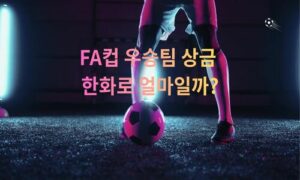 잉글랜드 FA컵(The Emirates FA Cup) 완전 정리 — 우승 기록 & 상금