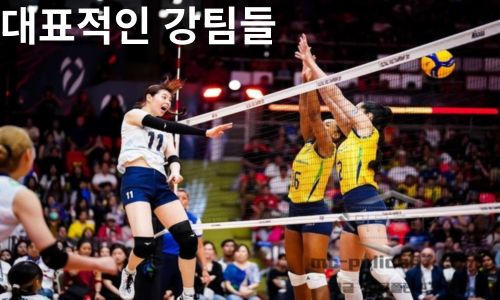 여자배구