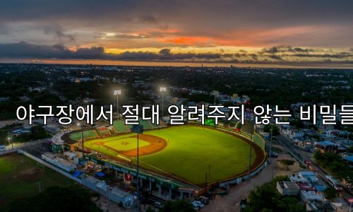 야구장에서 절대 알려주지 않는 비밀들