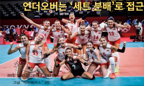 튀르키예 여자 배구 리그