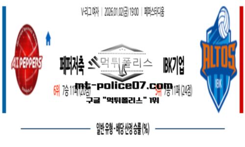 V-리그