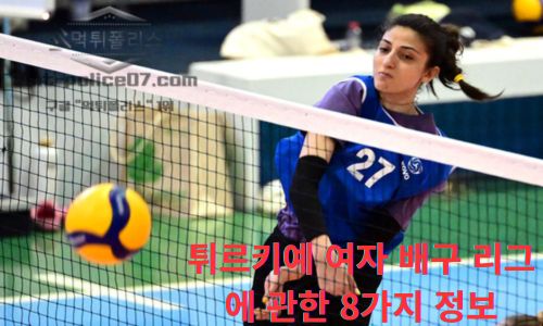 튀르키예