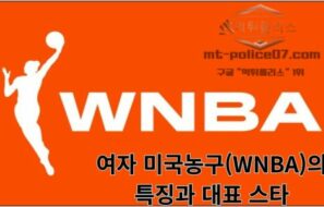 여자 미국농구(WNBA)의 특징과 대표 스타