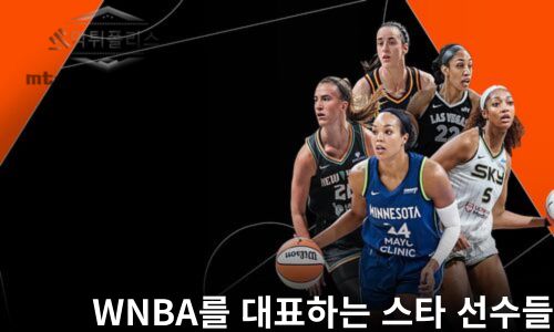 여자 미국농구