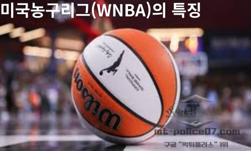 여자농구