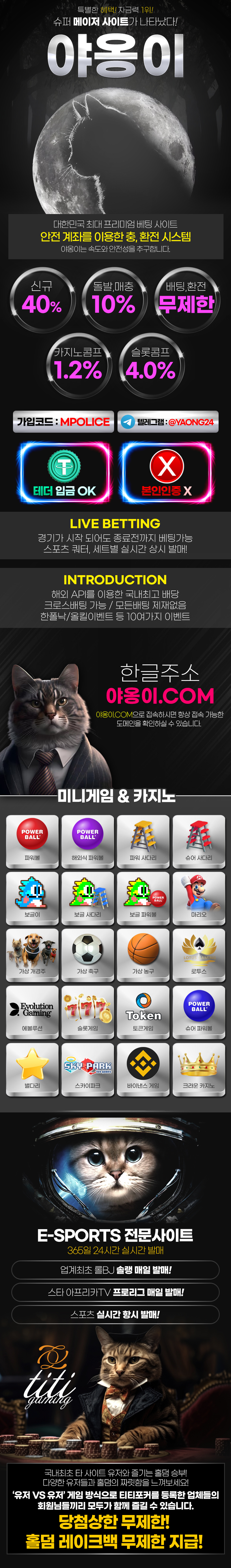 야옹이