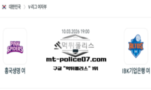 2026년 3월 10일 19:00 V-리그 프로배구 흥국생명 vs IBK기업은행 스포츠 픽