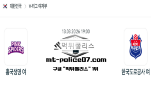 2026년 3월 13일 19:00 V-리그 프로배구 흥국생명 vs 한국도로공사 스포츠 픽