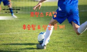 프랑스 FA컵(쿠프 드 프랑스) 완전 가이드