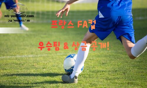 프랑스 FA컵