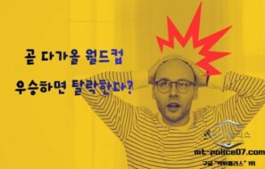 “우승하면 망한다?”… 월드컵에 숨겨진 기묘한 저주