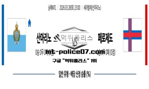국제친선경기