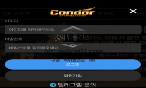 콘도르