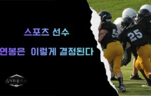 스포츠 선수 연봉은 어떻게 결정될까? 몸값의 비밀 완벽 정리