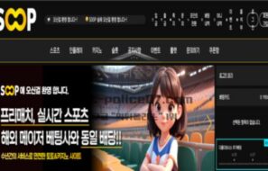 숲벳 토토 신규사이트 먹튀검증 결과 보고 안내