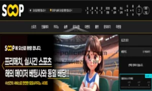 숲벳 토토 신규사이트 먹튀검증 결과 보고 안내