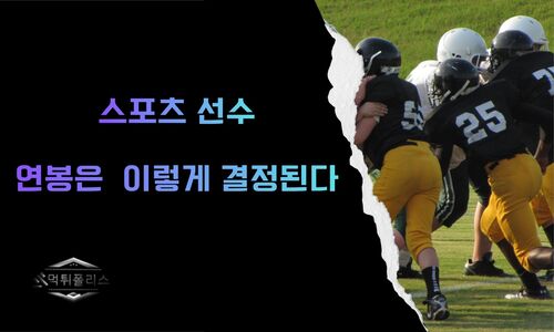 스포츠