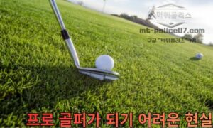 흥미로운 프로 골퍼가 되기 어려운 현실, 실력만으로 안 되는 프로의 세계 완벽 정리