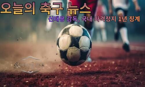 스포츠 뉴스