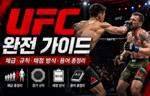 UFC 규칙 완전 정리 | 체급·라운드·판정 기준·용어 총정리