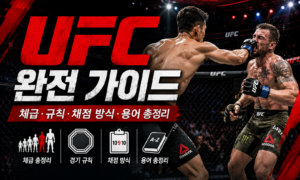 UFC 규칙 완전 정리 | 체급·라운드·판정 기준·용어 총정리